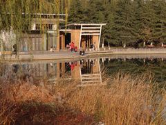 -大兴滨河森林公园