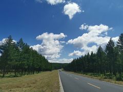 -塞罕坝国家级自然保护区