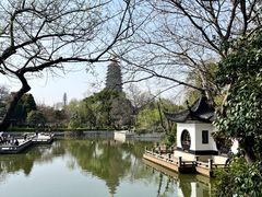 -红梅公园