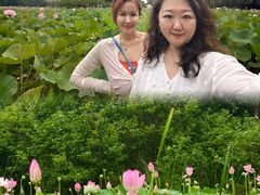 -东郊湿地公园