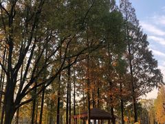 -宁波儿童公园(鄞州区)