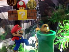 马里奥-东浩兰生上海世博展览馆