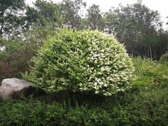 -济南国际园博园