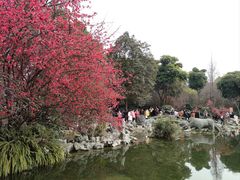 -棠湖公园