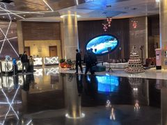 -南京禄口机场雅高铂尔曼大酒店