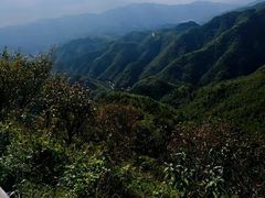 -四明山国家森林公园