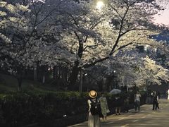 -武汉大学-樱园