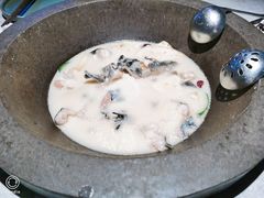 -鲜潭蒸汽石锅鱼(五道口购物中心店)