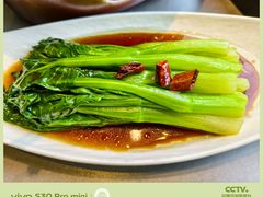 -陶德砂锅(春熙路店)