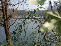 -重庆彩云湖湿地公园