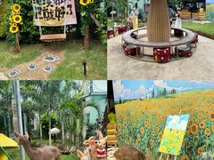 -正佳雨林生态植物园