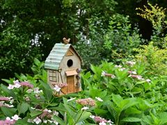 -上海共青森林公园