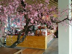 -田园东方蜜桃村的田野营地