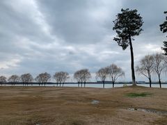 -漕湖湿地公园