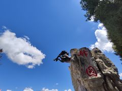 -齐岳山