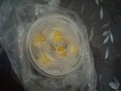 -爱乐信甜品(石湾店)
