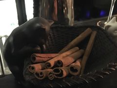 -Catail前苑(前门大街店)