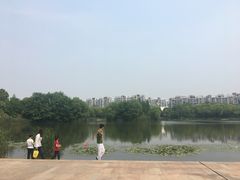 -新江湾城公园