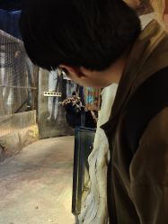 -酷嗒动物文化乐园(cutezoo西溪乐天城店)