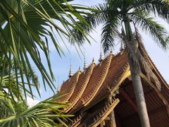 -西双版纳傣族园