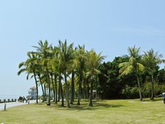 -深圳湾公园(南山区)