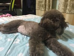 -宠颐生动物医院·全科·骨外科中心·利宠康分院