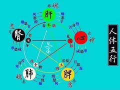 -裕和堂中医推拿艾灸(太古汇臻品店)