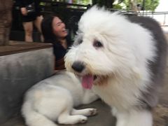 -TrueLove @ Neverland (Husky Cafe)