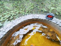 -明月山天沐温泉度假村