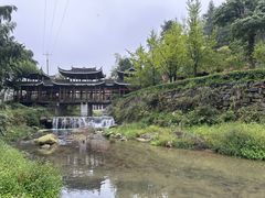 -紫鹊界梯田景区