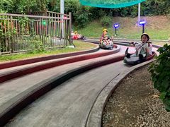 -圣淘沙天际线斜坡滑车