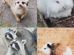 -昆明青龙峡风景区