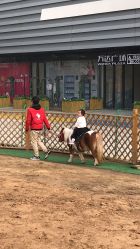 -萌宠亲子动物乐园(槐房万达店)