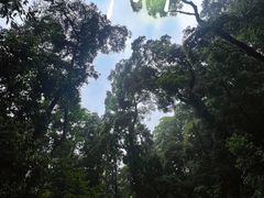 -凤栖山