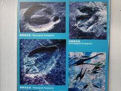 -延庆地质公园博物馆