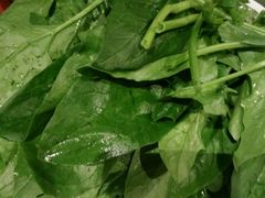 -黔蘑菇四季餐厅(观山湖店)