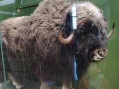 -国家自然博物馆