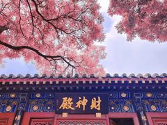 -白云观