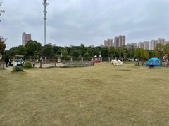 -菊园百果园