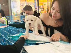-大连凯丹广场