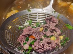 -潮发潮汕牛肉店(东方宝泰店)