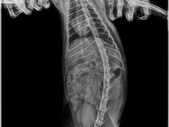 -关爱宠物医院·猫科中心·消化科(滨湖万达分院)