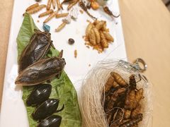 -了能菜·传统特色粤菜·虫宴