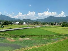 -黄牛肉馆·皖南土菜