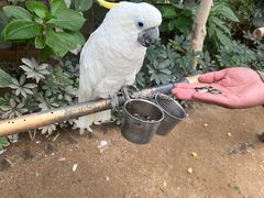 -南宫五洲植物乐园