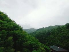 -莫干山风景区