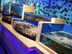 水产区-乔哥铭洋海鲜自助(皇城恒隆广场店)