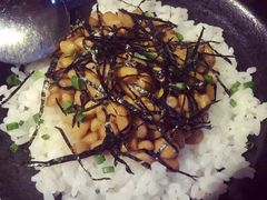-春草居酒屋·晴子の店