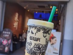 -莓超疯(百源店)
