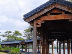 -飞来湖湿地公园